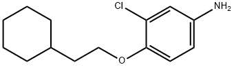 3-CHLORO-4-(2-CYCLOHEXYLETHOXY)ANILINE Struktur