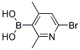 6-BROMO-2,4-DIMETHYLPYRIDIN-3-YLBORONIC ACID Struktur