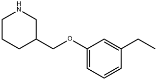 3-[(3-ETHYLPHENOXY)METHYL]PIPERIDINE Struktur