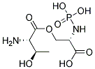 ANTI-PHOSPHOSERINE/THREONINE Struktur