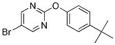 5-BROMO-2-(4-TERT-BUTYLPHENOXY)PYRIMIDINE Struktur