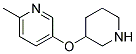 6-METHYL-3-PYRIDINYL 3-PIPERIDINYL ETHER Struktur