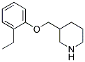 3-[(2-ETHYLPHENOXY)METHYL]PIPERIDINE Struktur