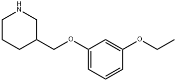 3-[(3-ETHOXYPHENOXY)METHYL]PIPERIDINE Struktur