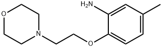 5-METHYL-2-[2-(4-MORPHOLINYL)ETHOXY]PHENYLAMINE Struktur