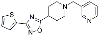 3-((4-[3-(2-THIENYL)-1,2,4-OXADIAZOL-5-YL]PIPERIDIN-1-YL)METHYL)PYRIDINE Struktur