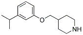 4-[(3-ISOPROPYLPHENOXY)METHYL]PIPERIDINE Struktur