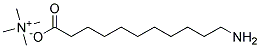11-AMINOUNDECANOIC ACID TETRAMETHYLAMMONIUM SALT Struktur