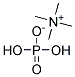 Tetramethyl ammonium hydrogen phosphate Struktur