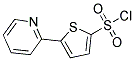 5-(PYRID-2-YL)THIOPHENE-2-SULPHONYL CHLORIDE, TECH Struktur