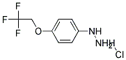 4-(2,2,2-Trifluoroethoxy)phenyl hydrazine hydrochloride Struktur