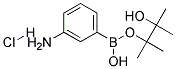 (3-Aminophenyl)boronic acid, pinacol ester hydrochloride Struktur