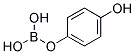 4-Hydroxy Phenylboric Acid Struktur