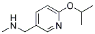 (6-ISOPROPOXYPYRIDIN-3-YL)-N-METHYLMETHANAMINE Struktur