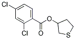 TETRAHYDROTHIOPHEN-3-YL 2,4-DICHLOROBENZOATE, TECH Struktur