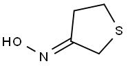 TETRAHYDROTHIOPHEN-3-ONE OXIME, TECH Struktur