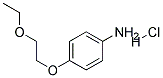 4-(2-ETHOXYETHOXY)ANILINE HYDROCHLORIDE Struktur