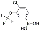 4 chloro 3 trifluoromethoxyphenylboornic acid  Struktur