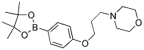 4-(3-Morpholin-4-ylpropoxy)benzeneboronic acid, pinacol ester Struktur