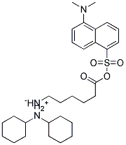 DANSYL EPSILON-(L)-AMINO-N-CAPROIC ACID DICYCLOHEXYLAMMONIUM SALT|