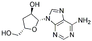 Cordycepin powder