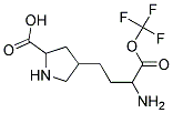 4-(3-AMINO-3-TRIFLUOROMETHOXYCARBONYL-PROPYL)-PYRROLIDINE-2-CARBOXYLIC ACID Struktur