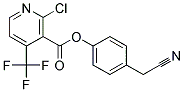 4-(CYANOMETHYL)PHENYL 2-CHLORO-4-(TRIFLUOROMETHYL)NICOTINATE, TECH Struktur