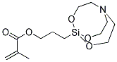 METHACRYLOXYPROPYLSILATRANE(INHIBITED WITH MEHQ) Struktur