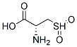 L-CYSTEINE-SULFONE Struktur