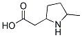 5-Methyl-2-Pyrrolidine-Acetic Acid Struktur