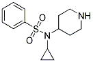 N-Cyclopropyl-N-(piperidin-4-yl)benzenesulphonamide Struktur