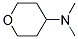 4-(DIMETHYLAMINO) TETRAHYDROPYRAN Struktur