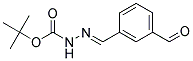 3-(BOC-AMINO-IMINO-METHYL)-BENZALDEHYDE Struktur