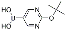 2-tert-Butoxylpyrimidine-5-boronic acid
 Struktur