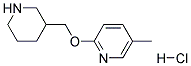 5-Methyl-2-(piperidin-3-ylmethoxy)pyridine hydrochloride Struktur