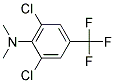 3,5-Dichloro-4-(N,N-Dimethylamino)Benzotrifluoride Struktur