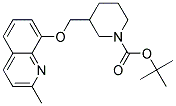 3-(2-Methyl-quinolin-8-yloxymethyl)-piperidine-1-carboxylic acid tert-butyl ester Struktur