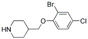 4-(2-Bromo-4-chloro-phenoxymethyl)-piperidine Struktur