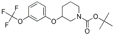 3-(3-Trifluoromethoxy-phenoxy)-piperidine-1-carboxylic acid tert-butyl ester Struktur