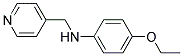 N-(4-PYRIDYLMETHYL)-P-PHENETIDINE Struktur