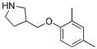 3-(2,4-Dimethyl-phenoxymethyl)-pyrrolidine Struktur