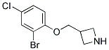 3-(2-Bromo-4-chloro-phenoxymethyl)-azetidine Struktur