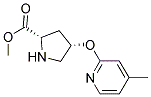 methyl (2S,4S)-4-[(4-methylpyridin-2-yl)oxy]pyrrolidine-2-carboxylate Struktur