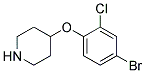 4-(4-Bromo-2-chloro-phenoxy)-piperidine Struktur