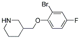 3-(2-Bromo-4-fluoro-phenoxymethyl)-piperidine Struktur