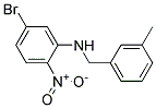 (5-Bromo-2-nitro-phenyl)-(3-methyl-benzyl)-amine Struktur