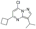 7-chloro-5-cyclobutyl-3-(1-methylethyl)pyrazolo[1,5-a]pyrimidine Struktur