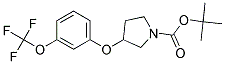 3-(3-Trifluoromethoxy-phenoxy)-pyrrolidine-1-carboxylic acid tert-butyl ester Struktur