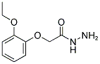 (2-ETHOXY-PHENOXY)-ACETIC ACID HYDRAZIDE Struktur