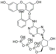 FLUORESCEIN-N6-ATP Struktur